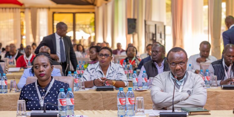 David Ndii Reveals Why the Ruto Government Changed University Funding