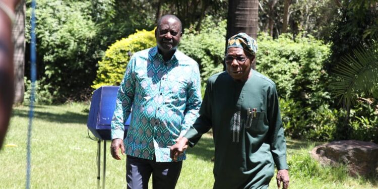 Uda Gives Stance On Raila Bid For Top African Union Job
