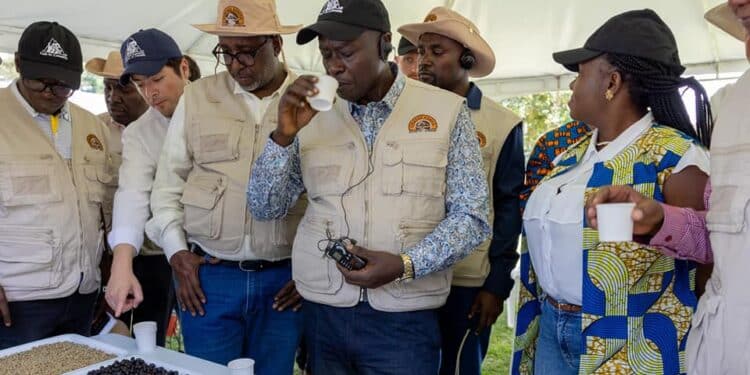 Foreign Tycoons Camp In Kenya After Gachagua'S Trip To South America Colombia Coffee Traders In Kenya After Gachagua Visit