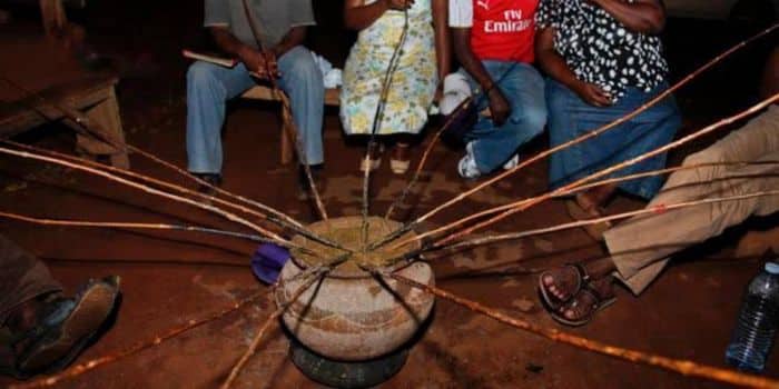 Traditional Alcohol