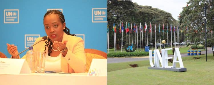 Kenya To Hold The 6Th Session Of United Nations Environment Assembly (Unea)