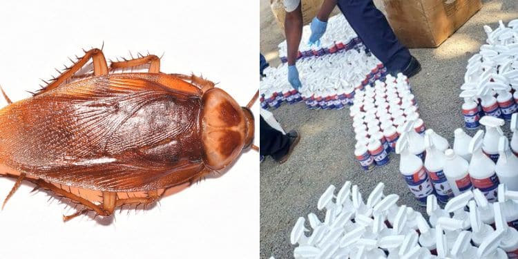 Dawa Ya Mende Among Pesticides Under Crackdown