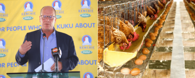 Kenchic Opportunities For Poultry Farmers; How To Apply