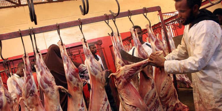 Nema Shuts Down Kiamaiko Slaughterhouses In Nairobi 
