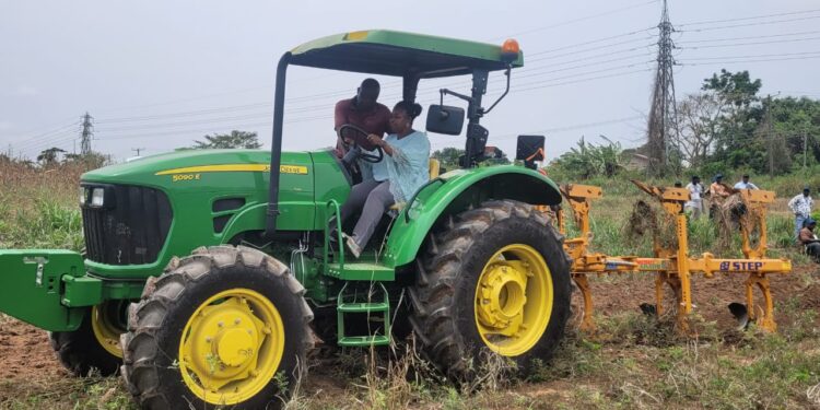 How Kenya’s Plant Breeding Stations Are Investing In Women In Science