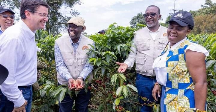 Listed Company Issues Profit Warning Amid Gachagua Push For Reforms Listed Company Issues Profit Warning Amid Gachagua Push For Reforms