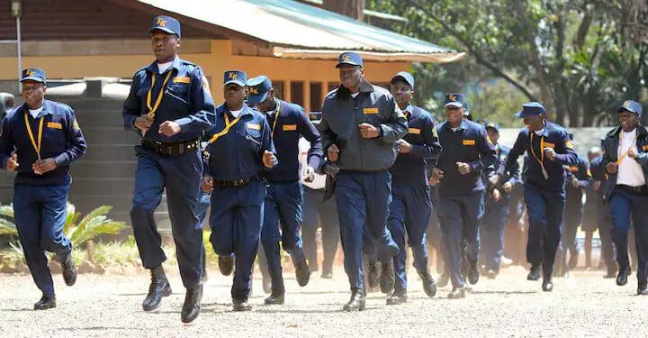 Psra Ordered To Reinstate Licenses Of 9 Companies