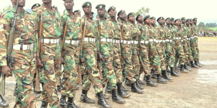 Tragedy As Lioness Kills Teenager In Rongai, Elephant Mauls Elderly Man In Nyeri