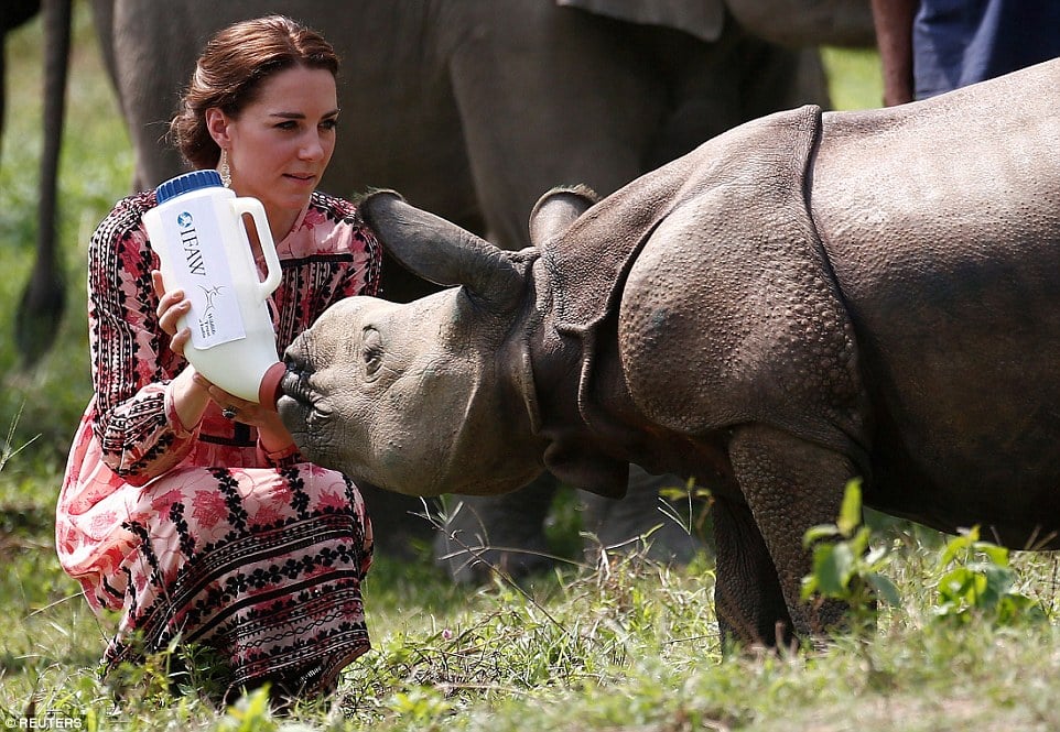 Truth Behind Princess Of Wales Kate Hiding In Kenya