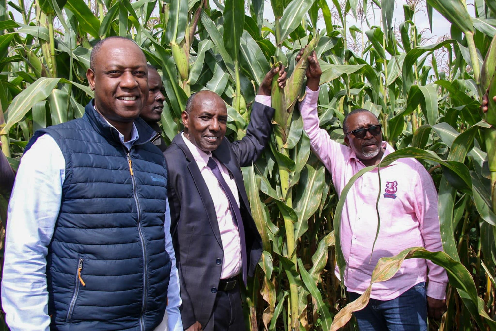 Dci Seize 700 Bags Of Fertilizer Mixed With Sand In Kakamega