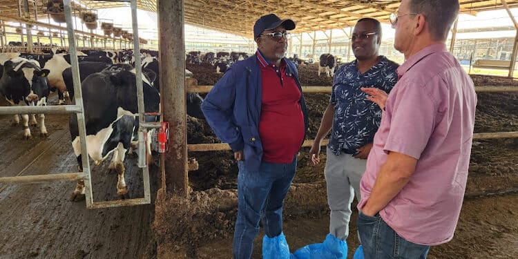 Why Farmers Risk Fine Or Jail In Cabinet-Approved Livestock Bill