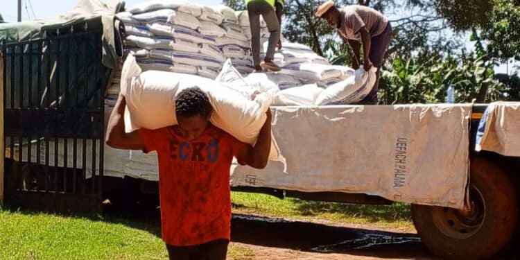 Govt Takes Action After Uproar Over Fake Fertilizer Fake Subsidized Fertilizer: Govt Gives Way Forward