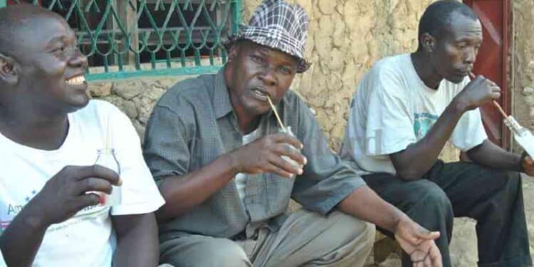 Python Attacks Govt Official During Night Operation Python Attacks Chief During Crackdown On Illicit Brews