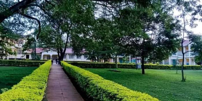 Rongo University Closed Indefinitely Rongo University Closed Indefinitely After Student Unrest
