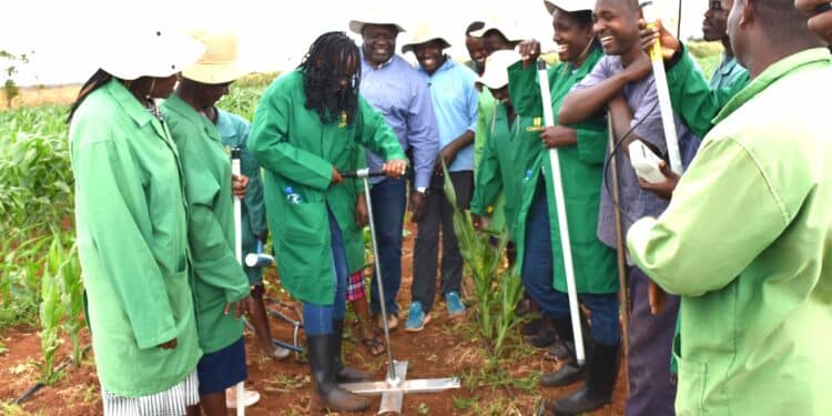 How Kenya’s Plant Breeding Stations Are Investing In Women In Science