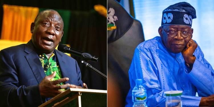 A Photo Collage Of South Africa President Cyril Ramaphosa And His Nigeria Counterpart Ahmed Adekunle Tinubu. Photo/Courtesy.