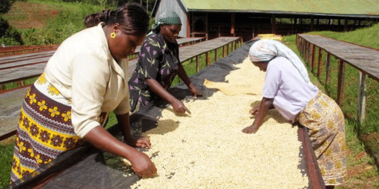 Listed Company Issues Profit Warning Amid Gachagua Push For Reforms Listed Company Issues Profit Warning Amid Gachagua Push For Reforms