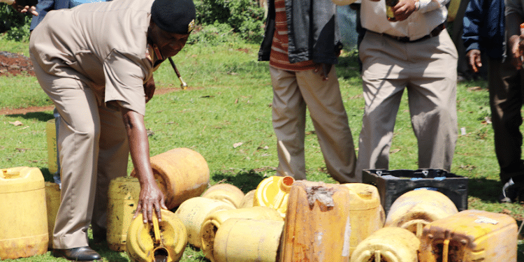 Python Attacks Govt Official During Night Operation Python Attacks Chief During Crackdown On Illicit Brews