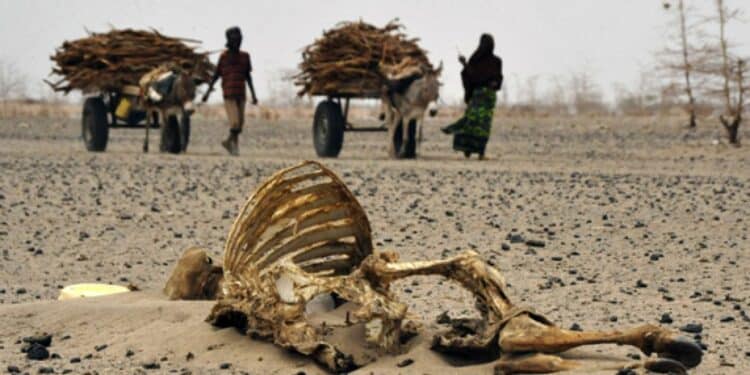 Africa To Boil In Global Warming Climate Change