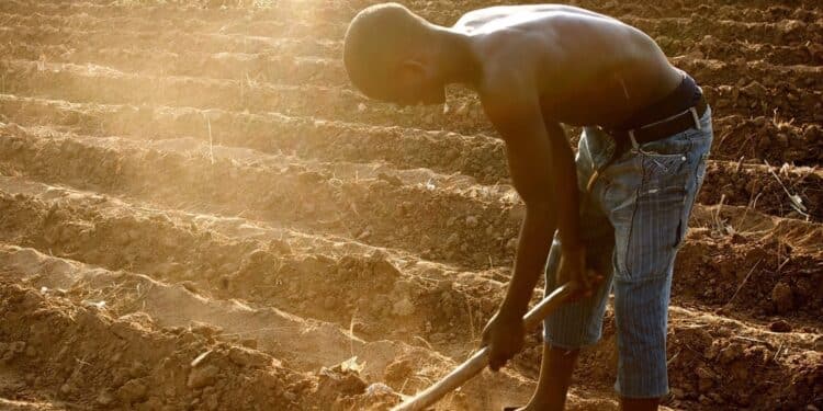 Africa To Boil In Global Warming Africa To Boil In Global Warming Over Climate Change Crisis