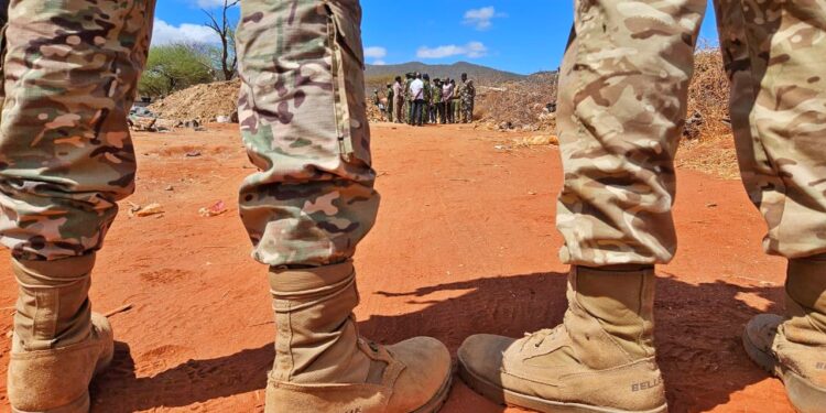 Python Attacks Govt Official During Night Operation Python Attacks Chief During Crackdown On Illicit Brews