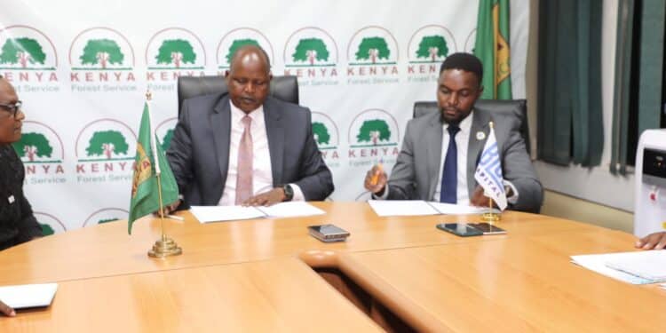 Kfs Conservation Efforts