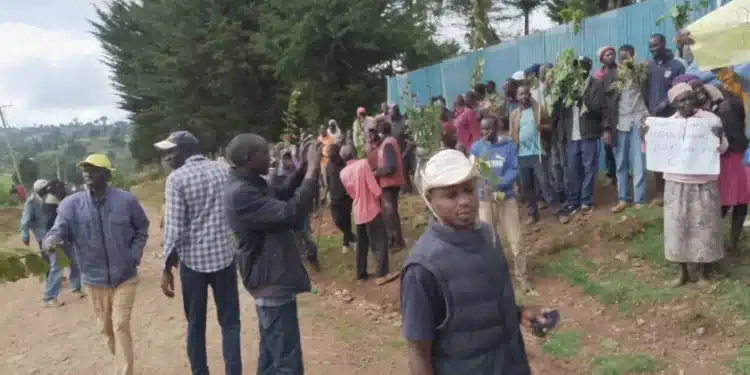 Learning Paralyzed At A Nairobi School As Parents Stage Protest Parents Hold Protests At Tinet Primary School On January 8, 2024. Photo/ Courtesy