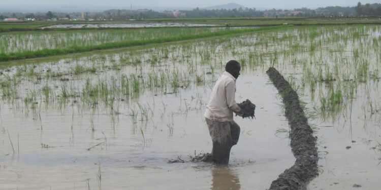 700 Left Homeless After Floods Cause Havoc In Kirinyaga