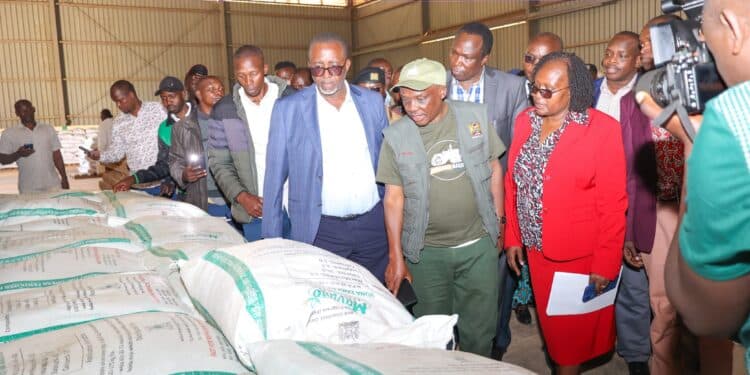 Linturi Impeachment: Azimio Mps Disrupt Debate