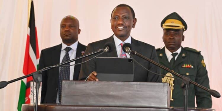 Raila Odinga Auc Bid: Ruto Secures Endorsement From Zimbabwe