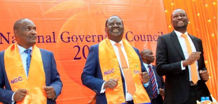 Odm Party Elections