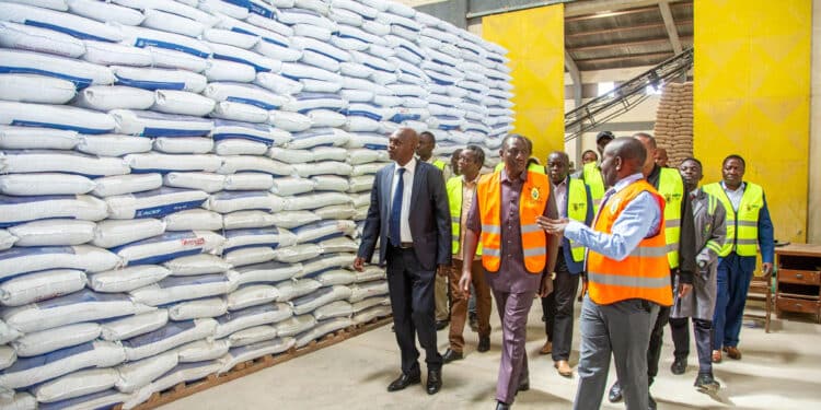 Allan Namu Counters Linturi Countered With Burning Questions