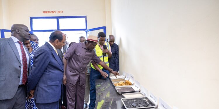 Meet Devki Tycoon Who Wants Ruto To Rule For 25Yrs Narendra Raval