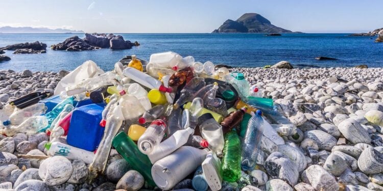 Plastic Waste