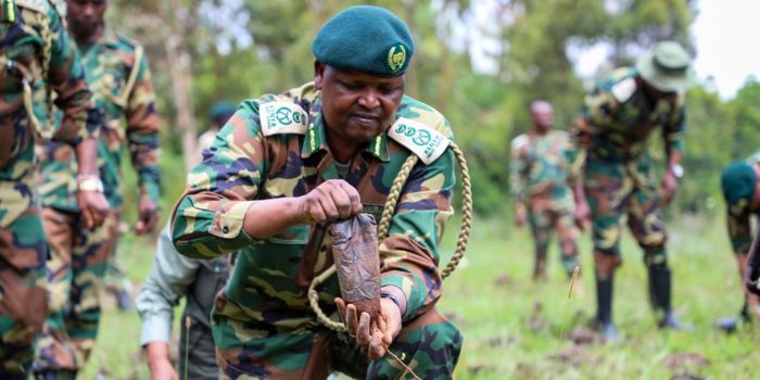Kfs Conservation Efforts