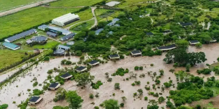 Tourists Trapped By Floods Recued By Kenya Red Cross