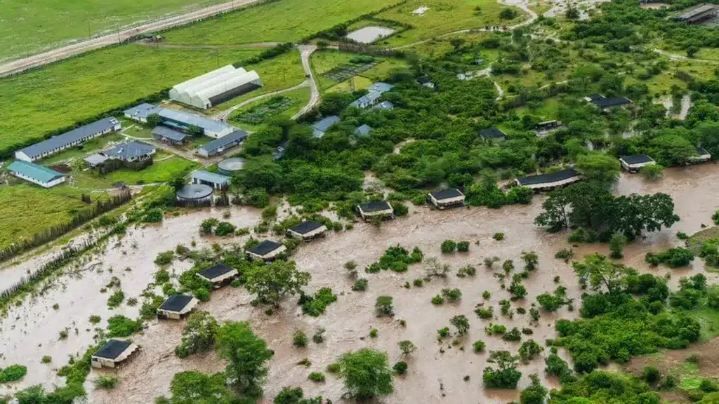 Tourists Trapped By Floods Recued By Kenya Red Cross