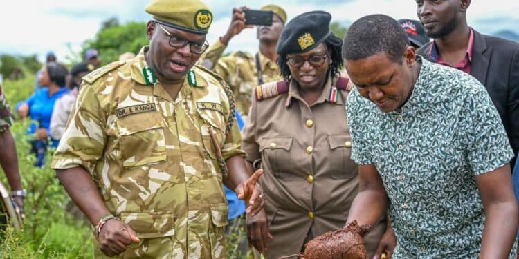 Alfred Mutua Launches 'One Tree Per Tourist' Initiative