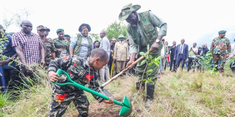 Alfred Mutua Launches 'One Tree Per Tourist' Initiative