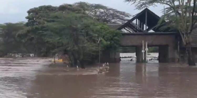Tourists Trapped By Floods Recued By Kenya Red Cross