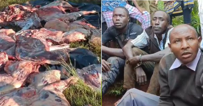 Suspects Selling Stolen Donkey Meat In Nairobi Arrested