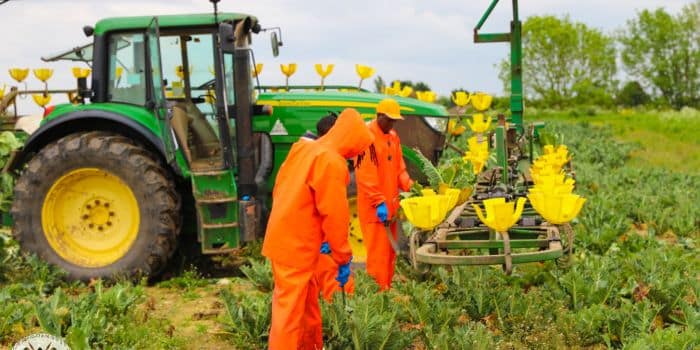 Part Of 1,000 Kenyans Getting Jobs In The Uk 