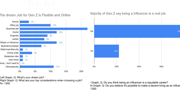 New Kenyan Gen Z Report Reveals Most Preferred Jobs