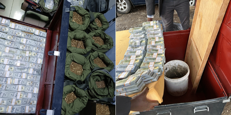 A Collage Of Fake Gold Nuggets And Us Currency Seized. Photo/ Dci