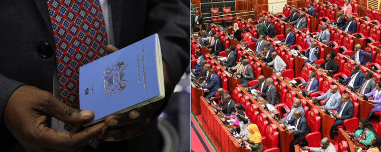 Passports: Mps Push For Issuance Within 3 Days Of Applying