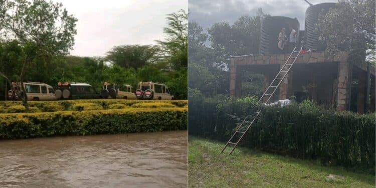 University Student Saves 14 Tourists From Maasai Mara Floods