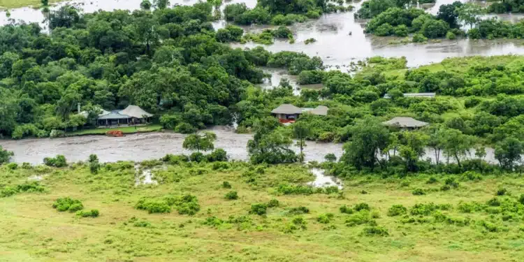 No Tourist Death Reported Says Maasai Mara Managers 