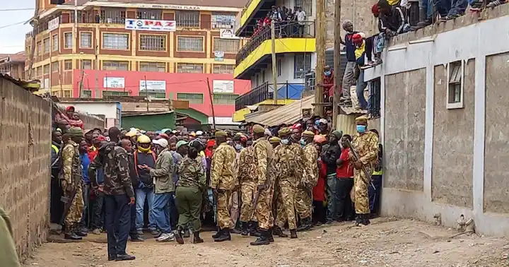 Kws Addresses Lion Sighting Concerns In Langata