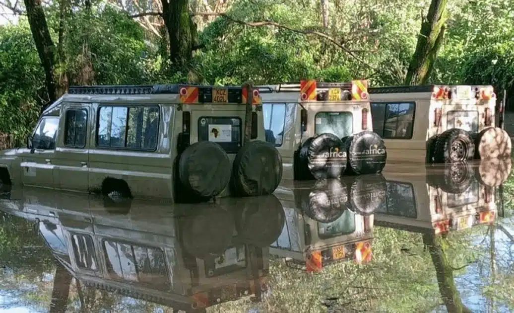 No Tourist Death Reported Says Mara Managers