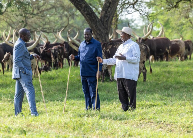 Protests In Kenya And Uganda Highlight Corruption At The Top - But Political Elites Don’t Give In Without A Fight President William Ruto (Left) Former Prime Minister Raila Odinga (Center) And Uganda'S President Yoweri Museveni During Their Meeting In Uganda In February, 2024.